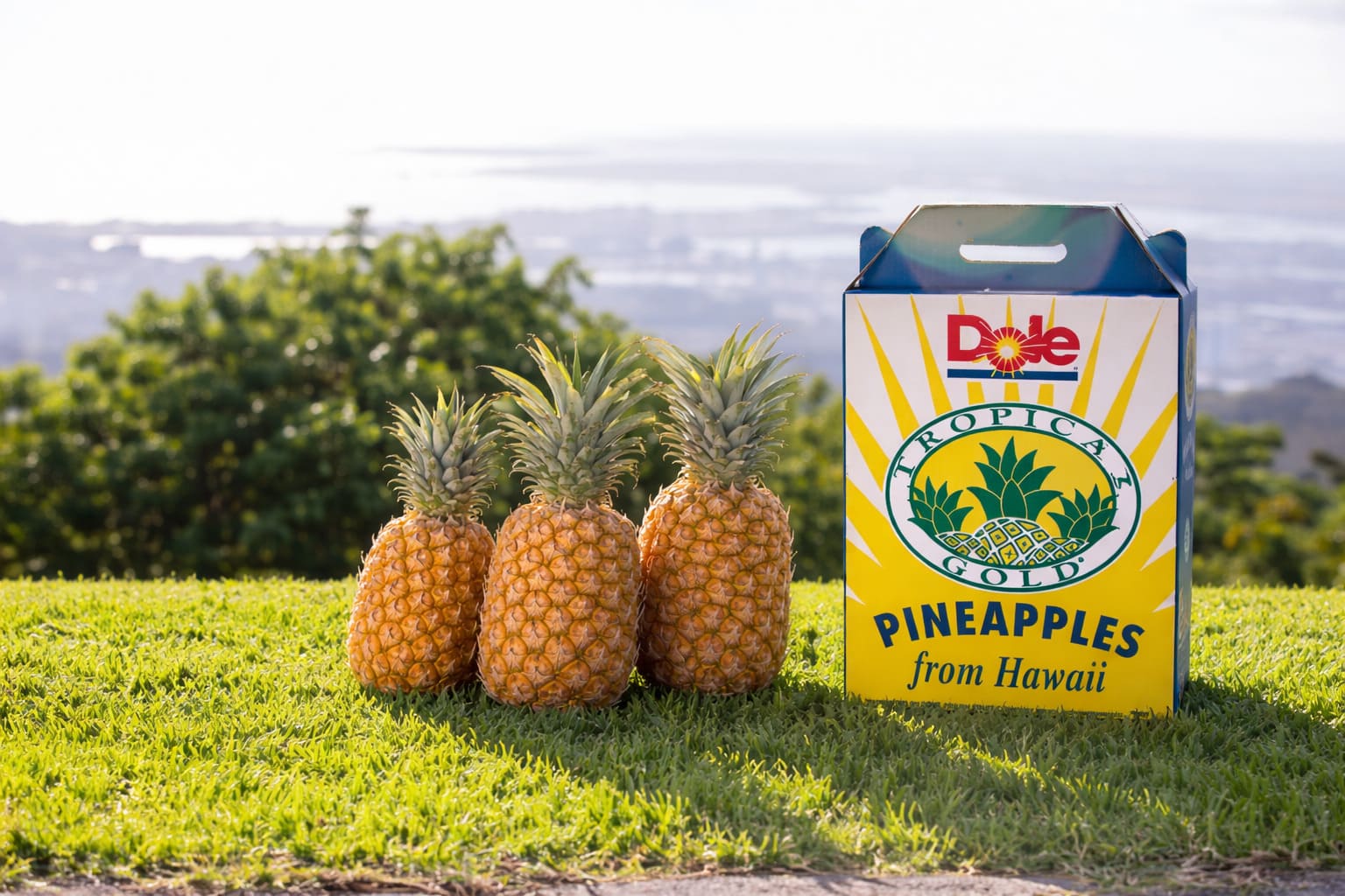 Hawaii Pineapple & Papaya Delivery
