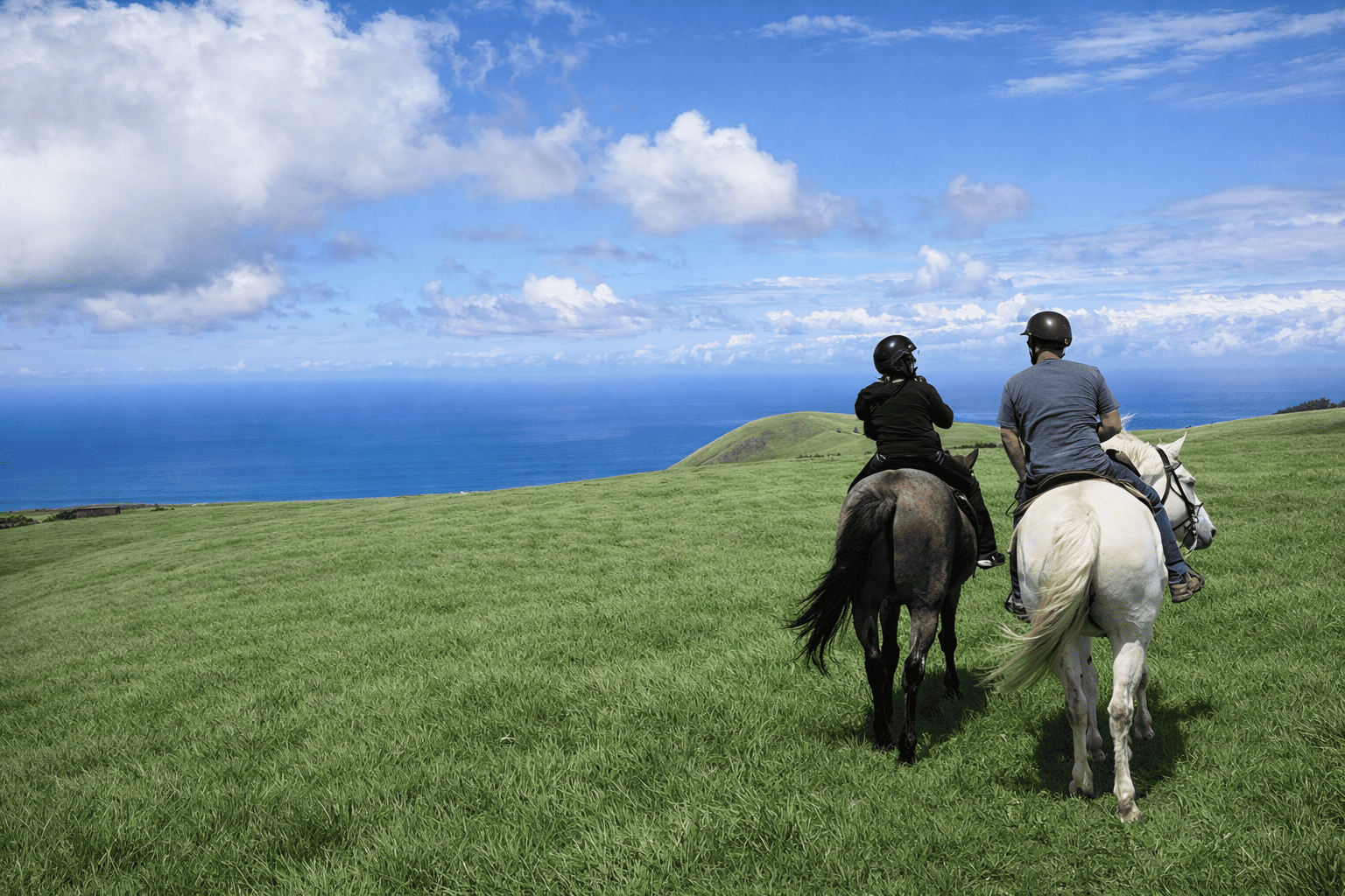 Big Island Horseback Riding