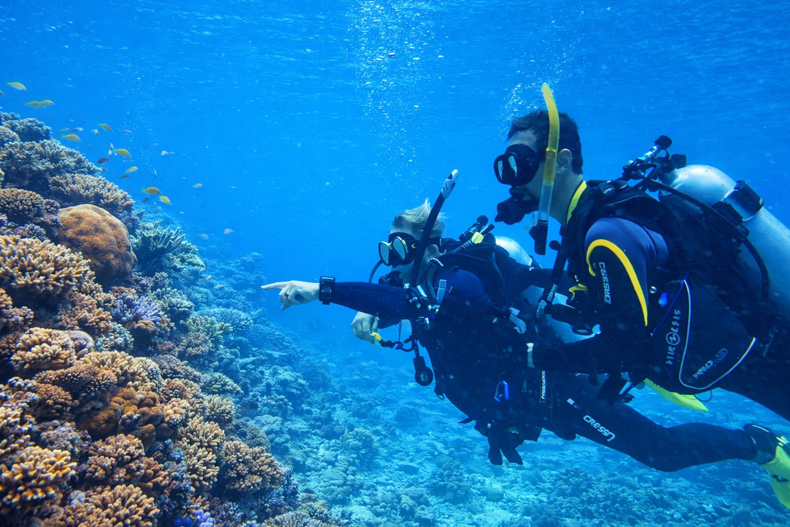 Big Island Scuba Diving