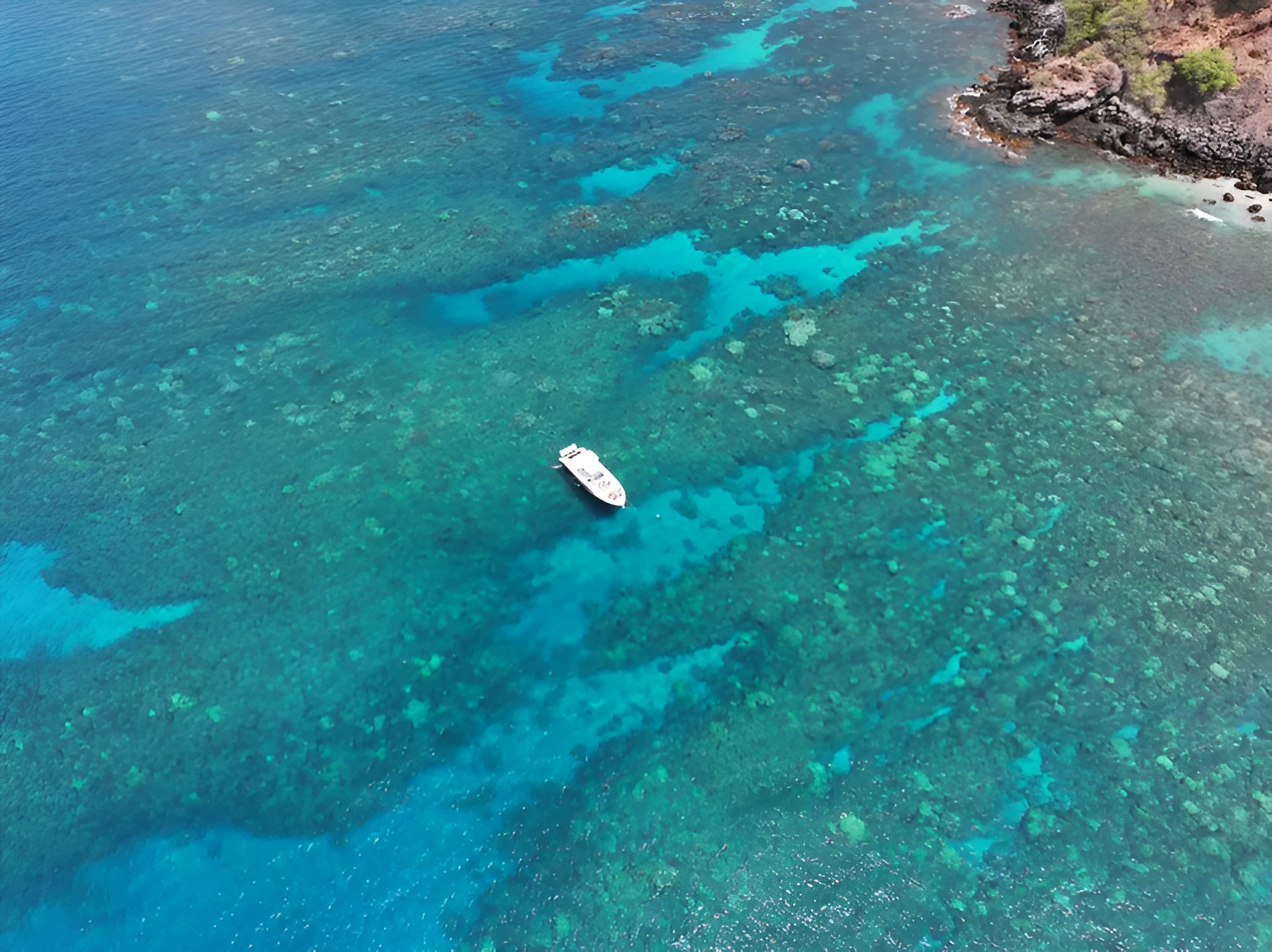 Hawaii Snorkeling