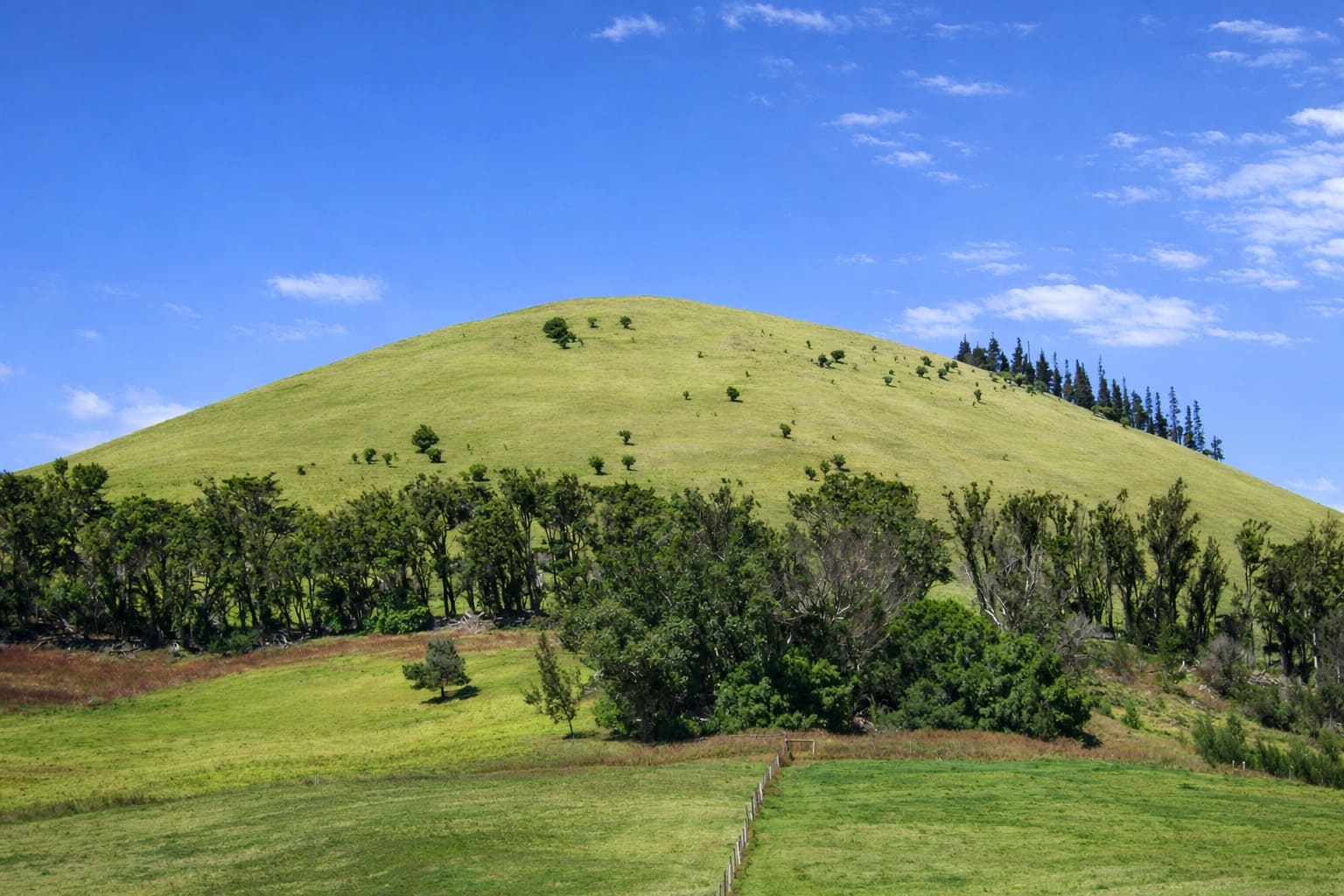 Waimea