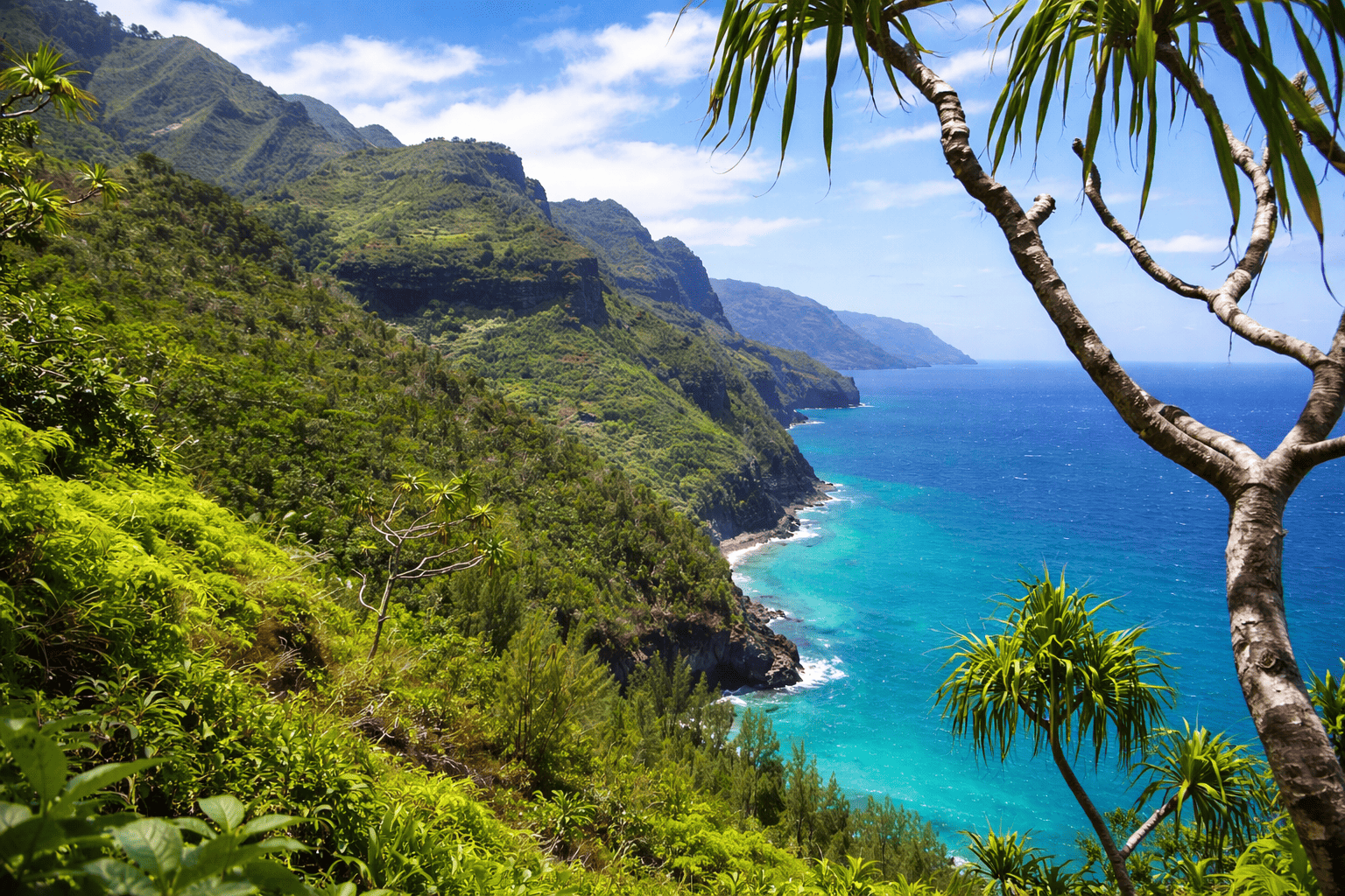 Kauai Shore Excursions
