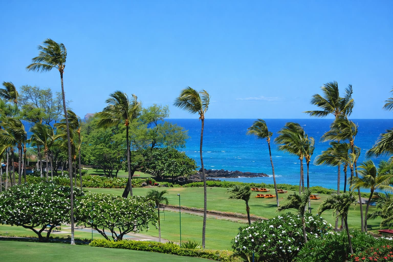 Hawaii Tours by Location