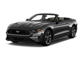 Alamo Car Rentals