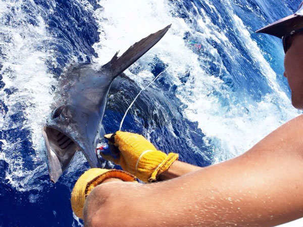 Bite Me Sportfishing - Bite Me 3