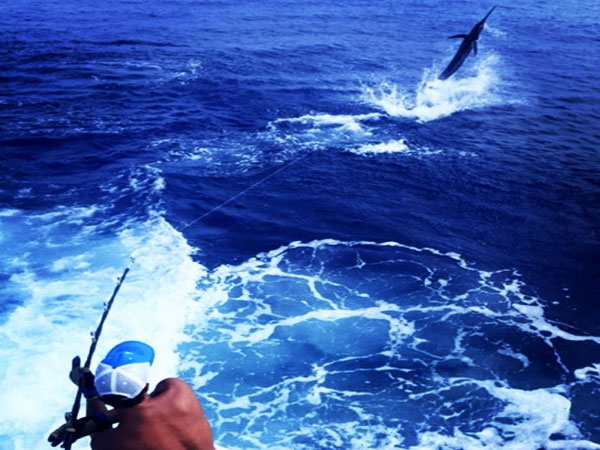 Kona Big Game Fishing