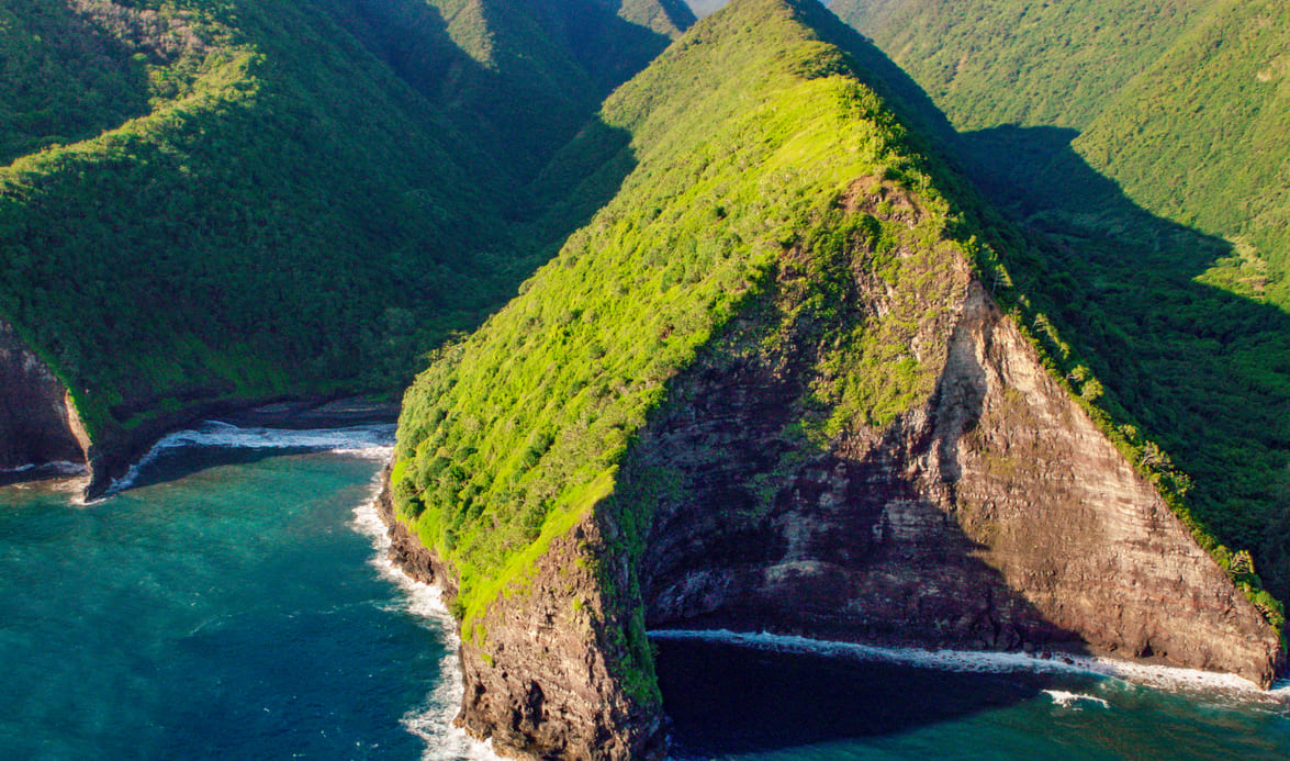 Sea Cliffs