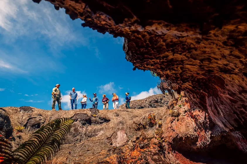 Guided Land Tour