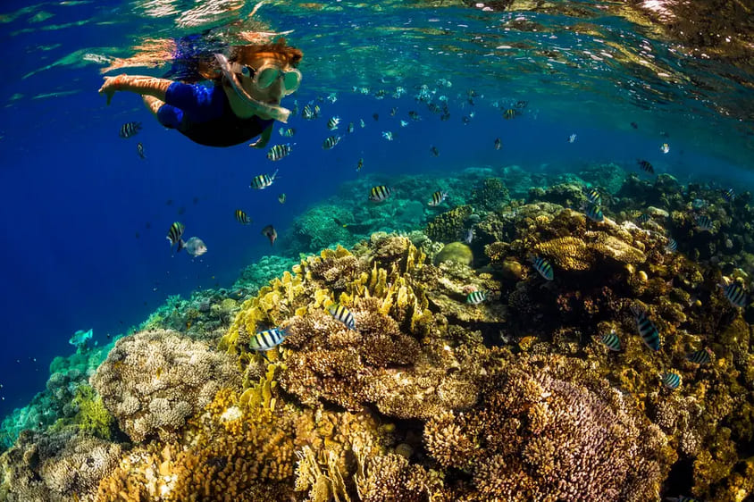 Underwater World