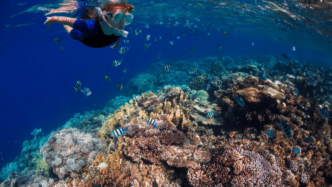 Underwater World