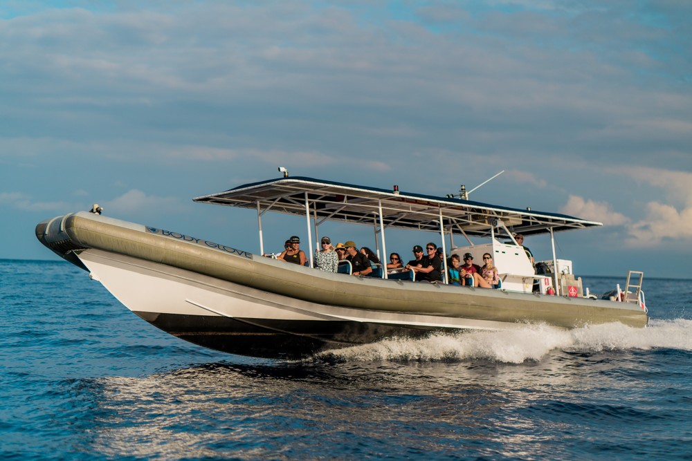 Super Raft Whale Watching Adventure
