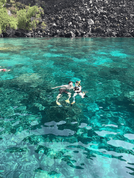 Kealakekua Bay Snorkeling