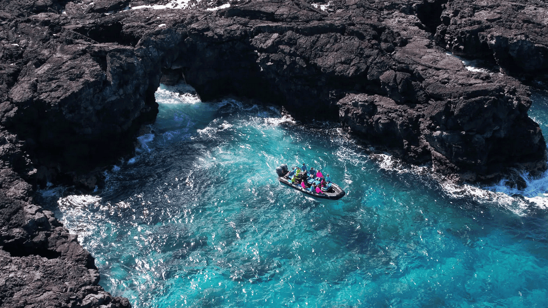 Captain Zodiac – Pelagic Wildlife Excursion