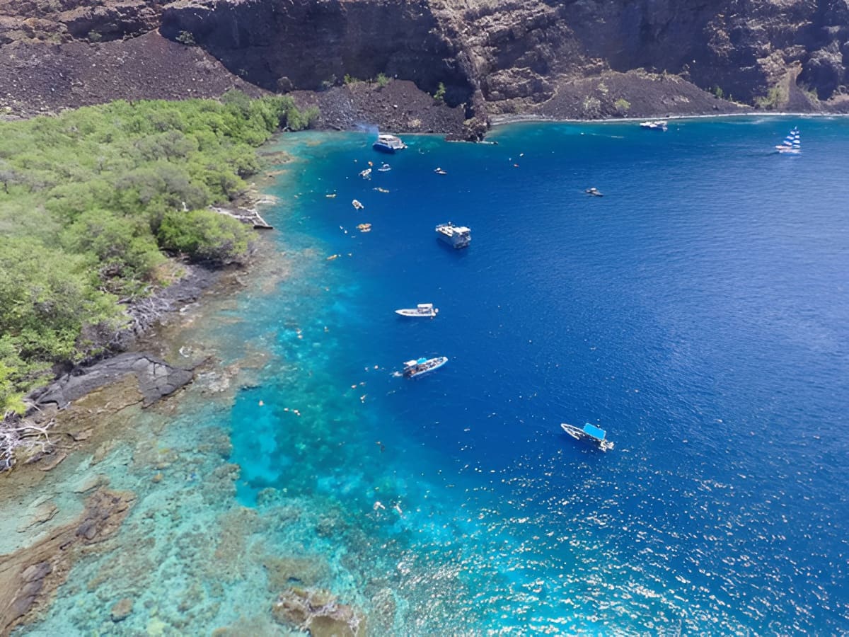 Dolphin Discoveries – Captain Cook Snorkel Adventure