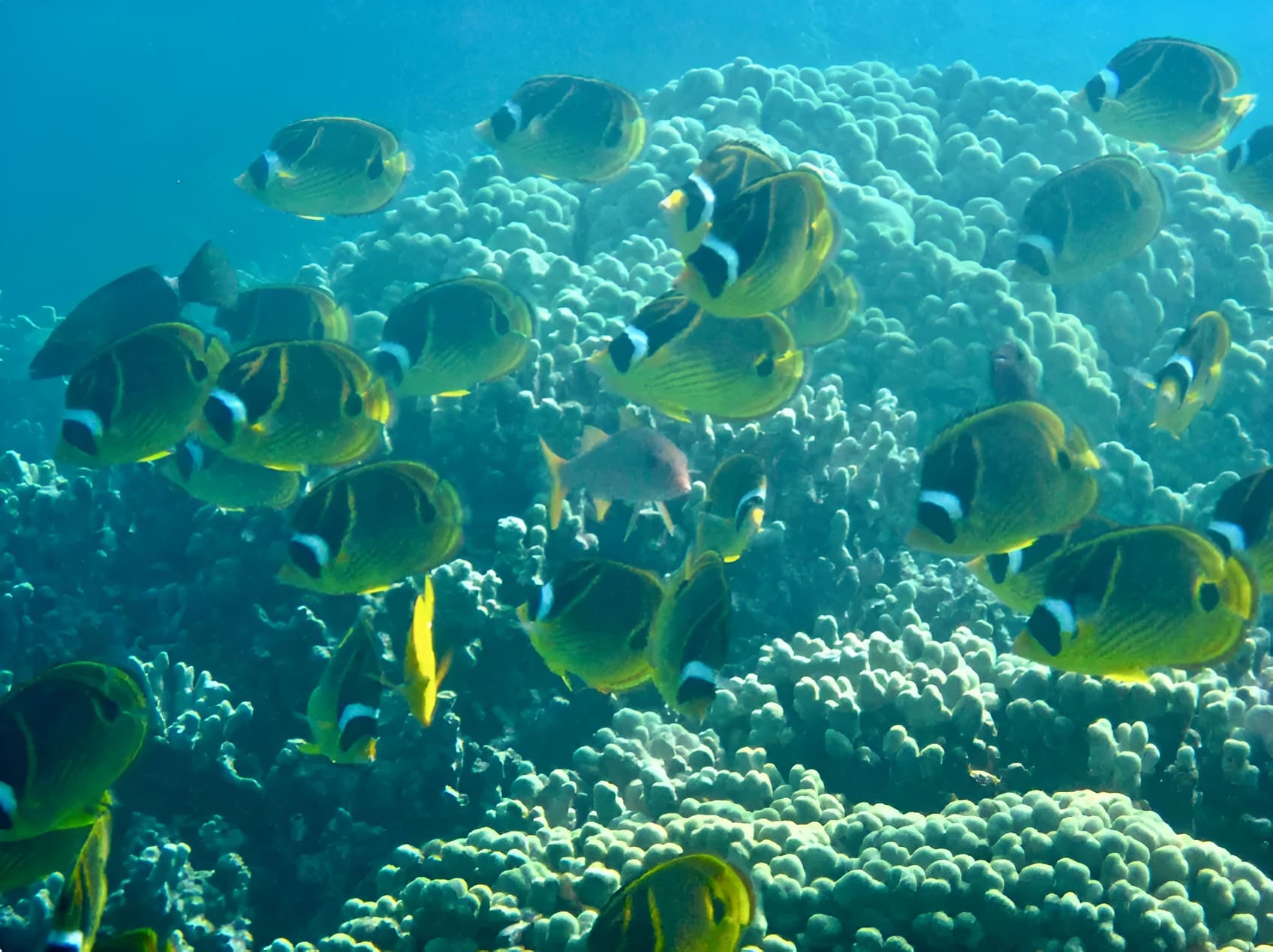 Underwater World