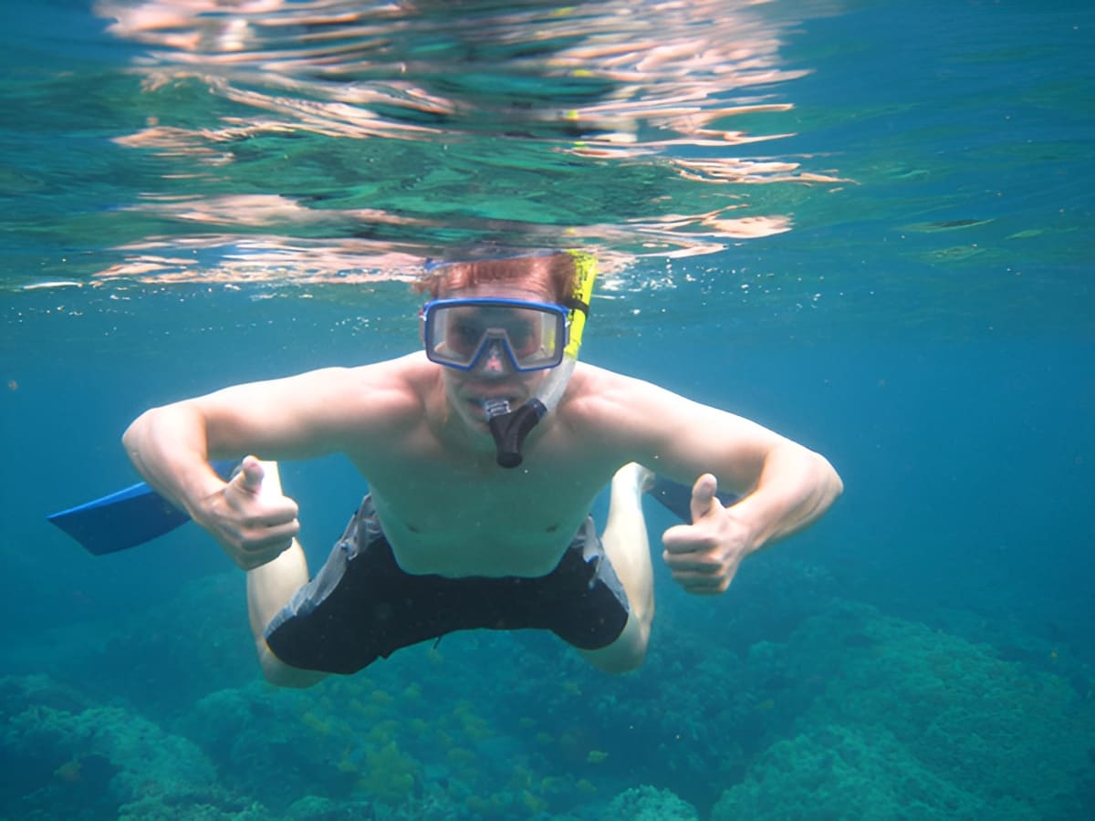 Kona Snorkel Adventure