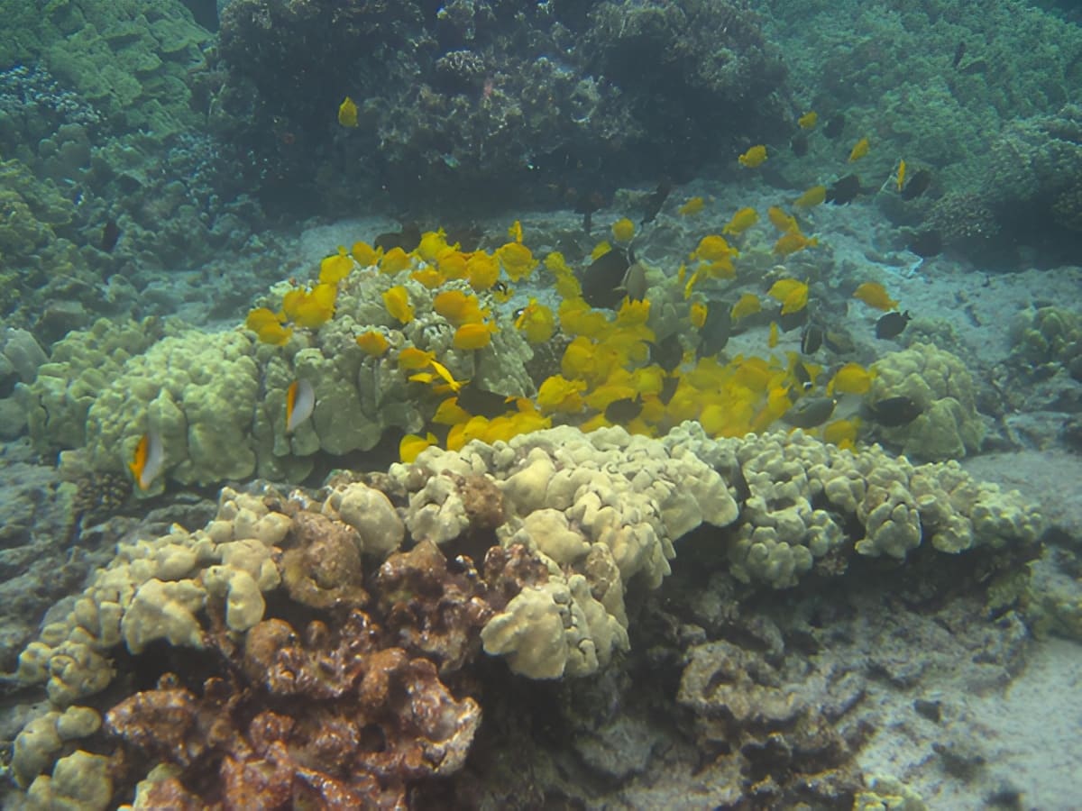 Underwater World