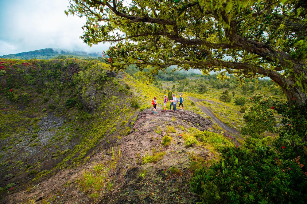 Hawaii Forest & Trail - Hidden Craters Hike (Kona)