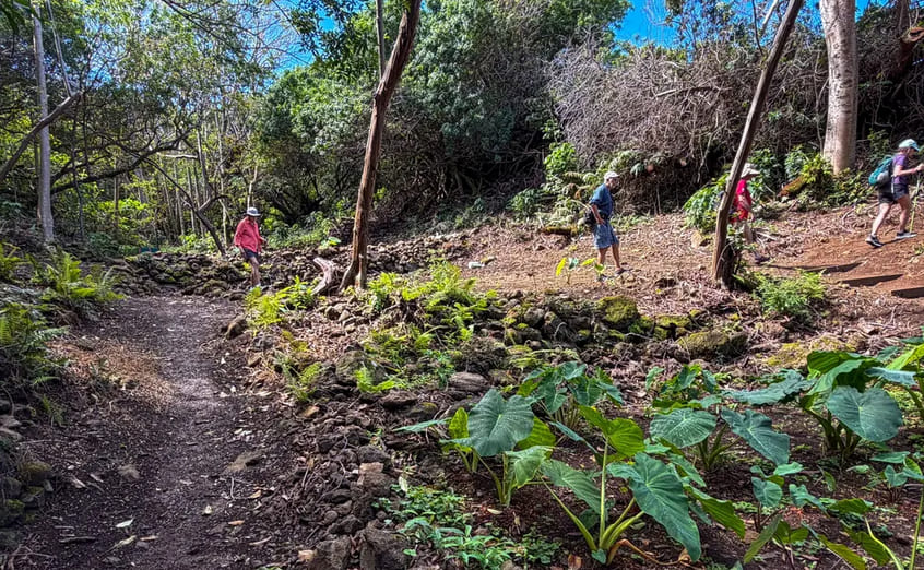 Hiking Trail