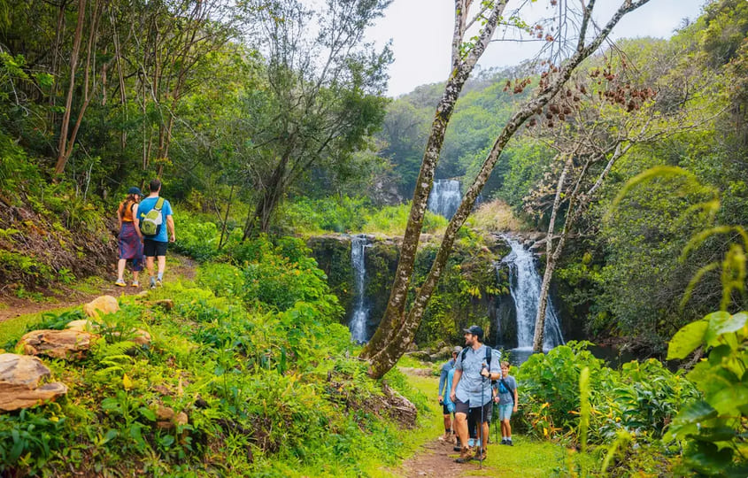Kohala Waterfalls Adventure