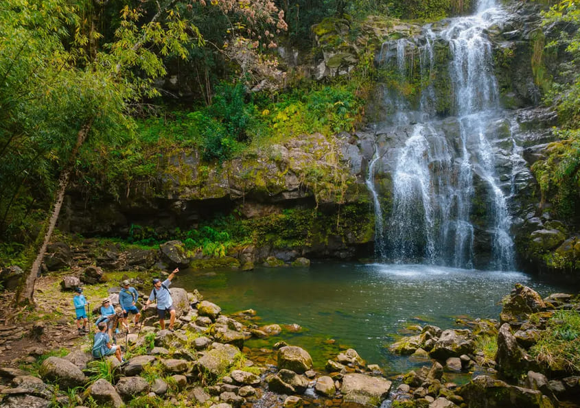 Tropical Waterfall