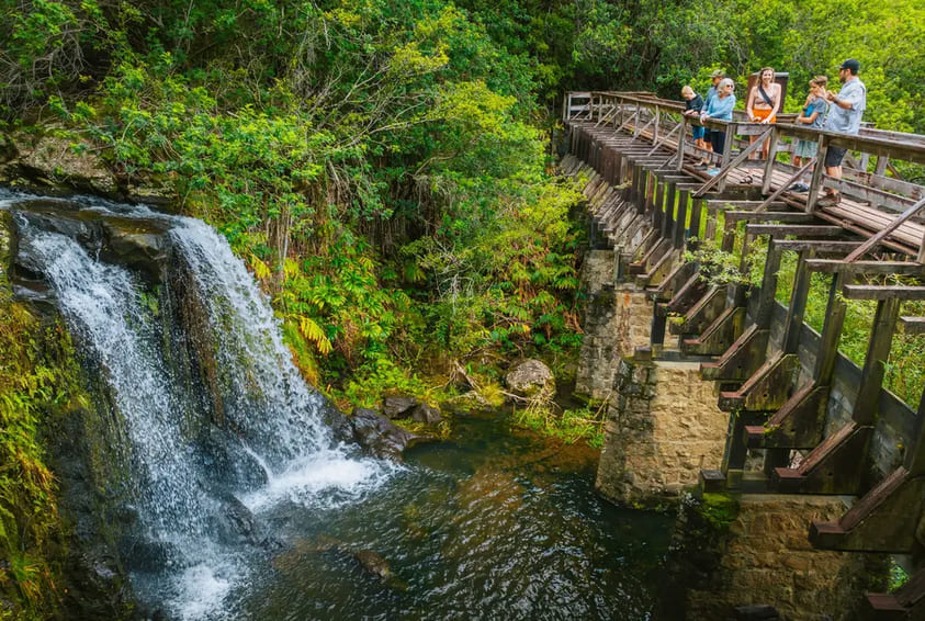 Waterfall View
