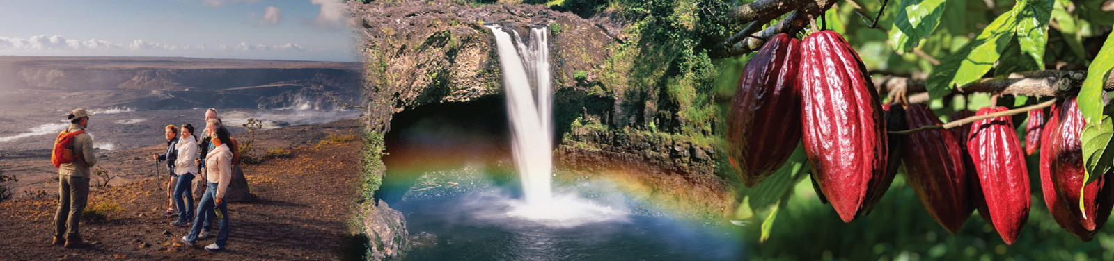 Hawaii Forest & Trail - Volcano, Chocolate & Waterfalls