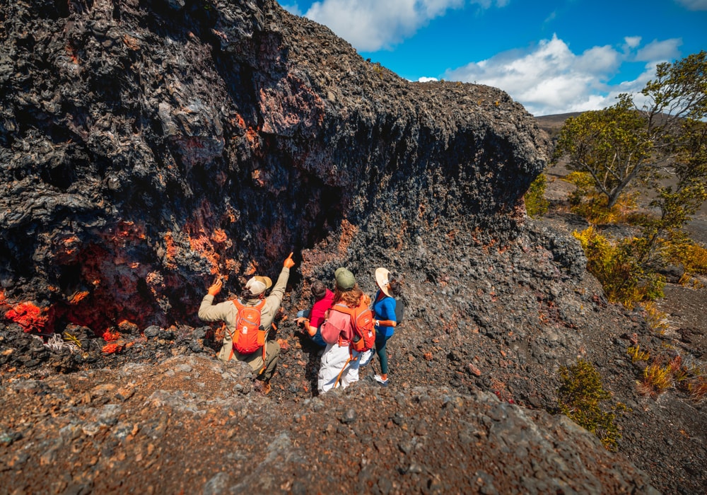 Small-group sightseeing with Hawaii Forest and Trail on the Big Island