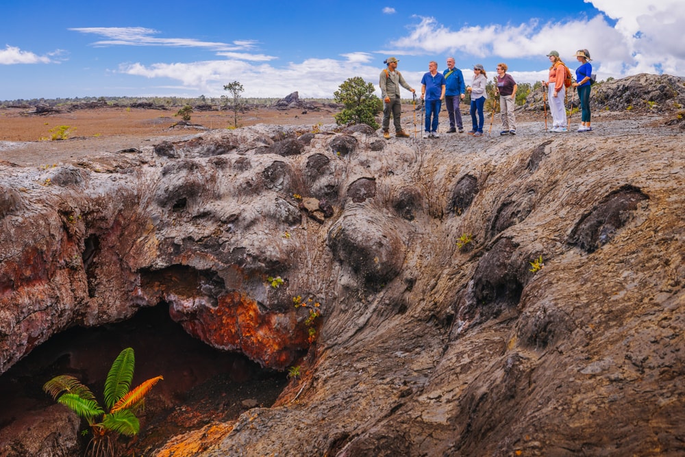Tour highlights on the Big Island – volcano landscapes, rainforest, and scenic stops