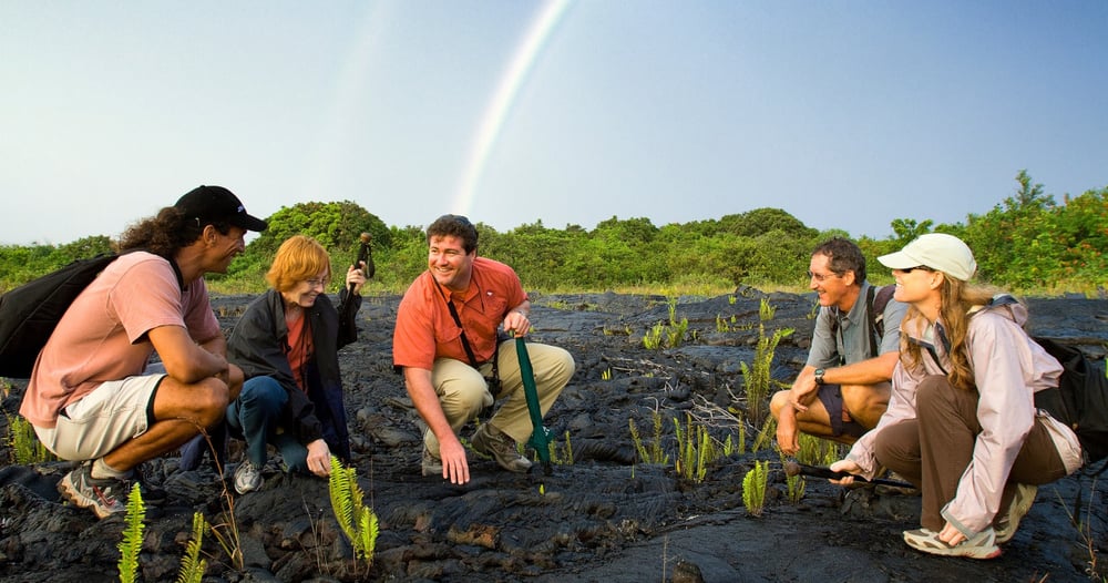 Volcano, chocolate, and waterfalls tour