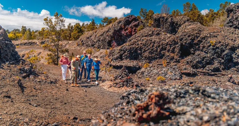 Hawaii Forest & Trail - Volcano Direct Hiking Adventure