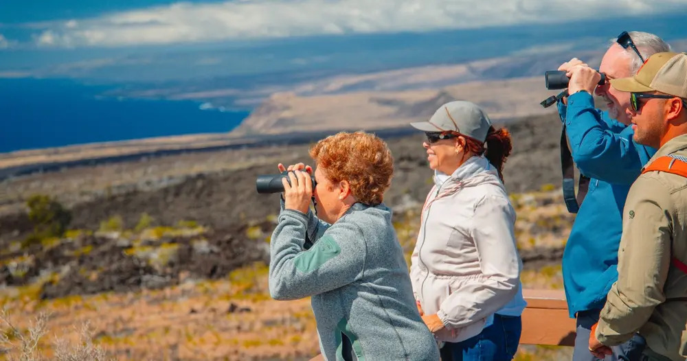 Hawaii Forest & Trail - Volcano Direct Hiking Adventure