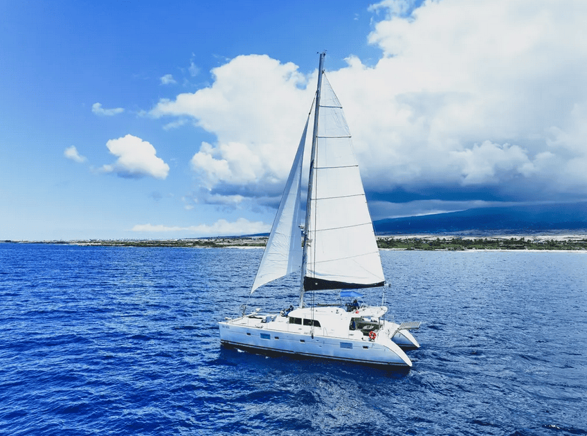 No Wiki Luxury Catamaran