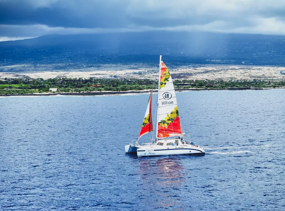 Kona Turtle Snorkel Sail with Lunch