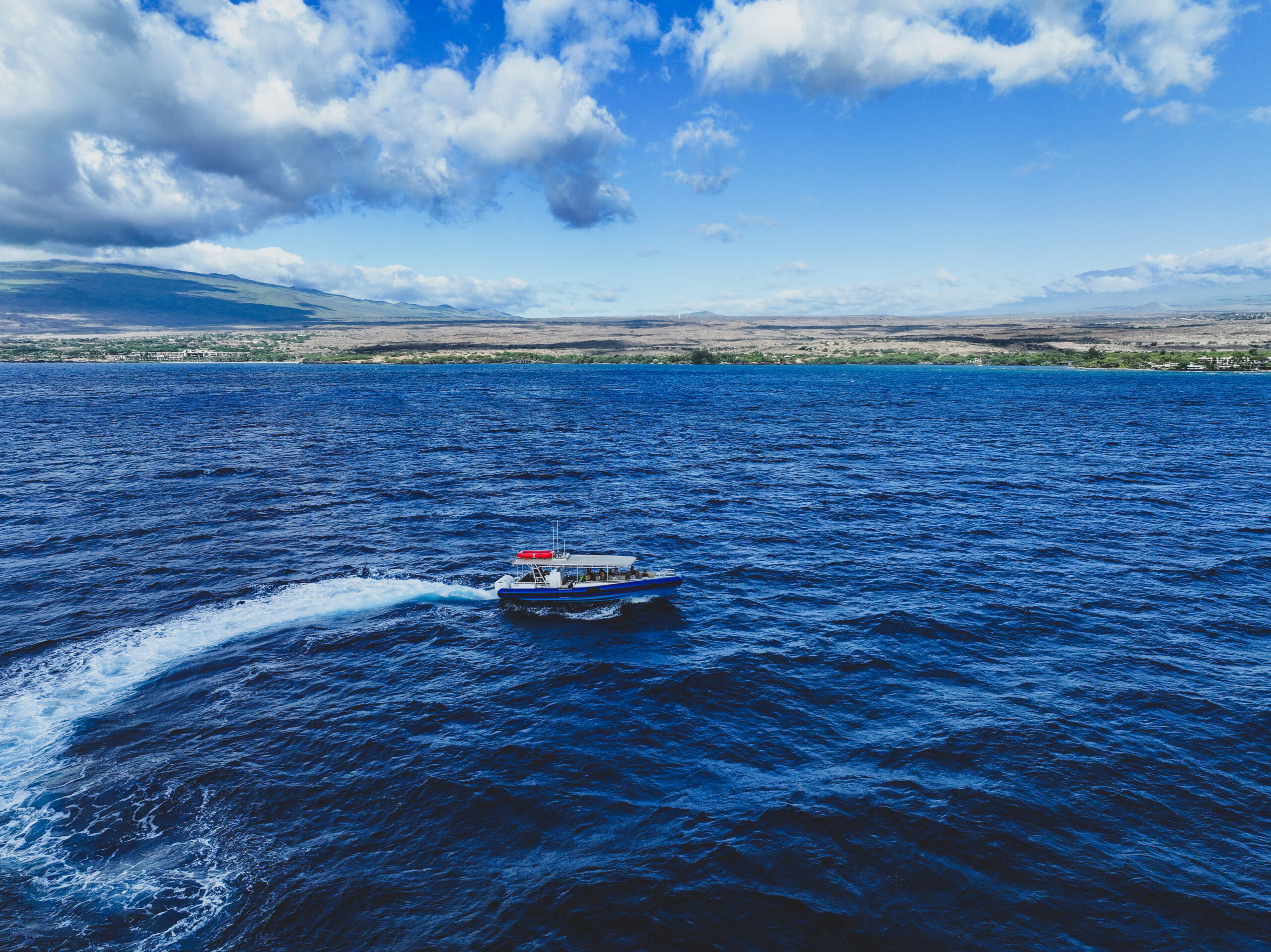 Mauna Kea Deluxe Whale Watch (Kawaihae Harbor - Kona, BI)