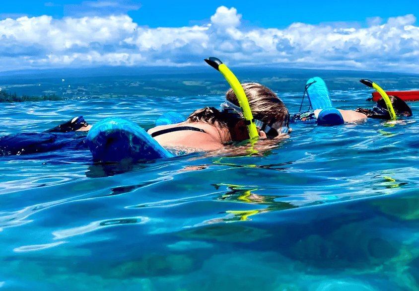 Beach Snorkel at Sea Turtle Lagoon and Black Sand Beach