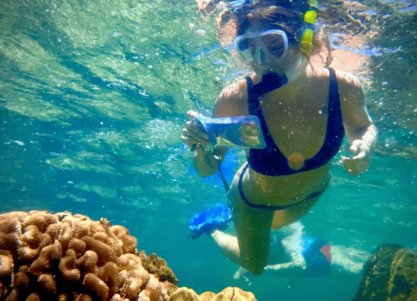 Hilo Snorkel Adventure