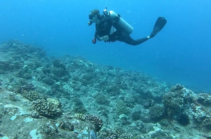Hilo Ocean Adventures