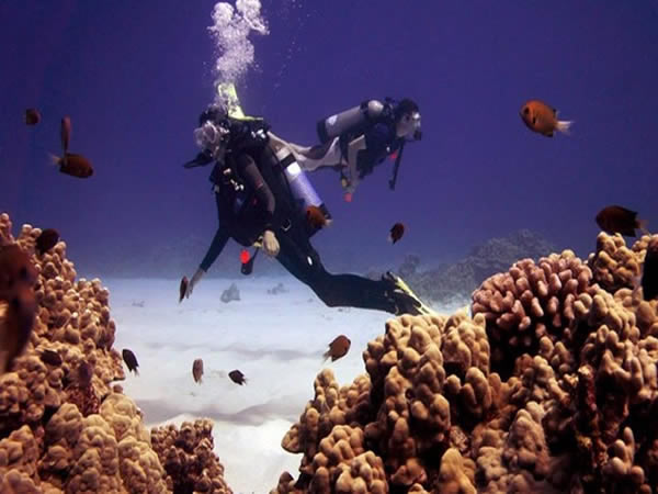 Diving