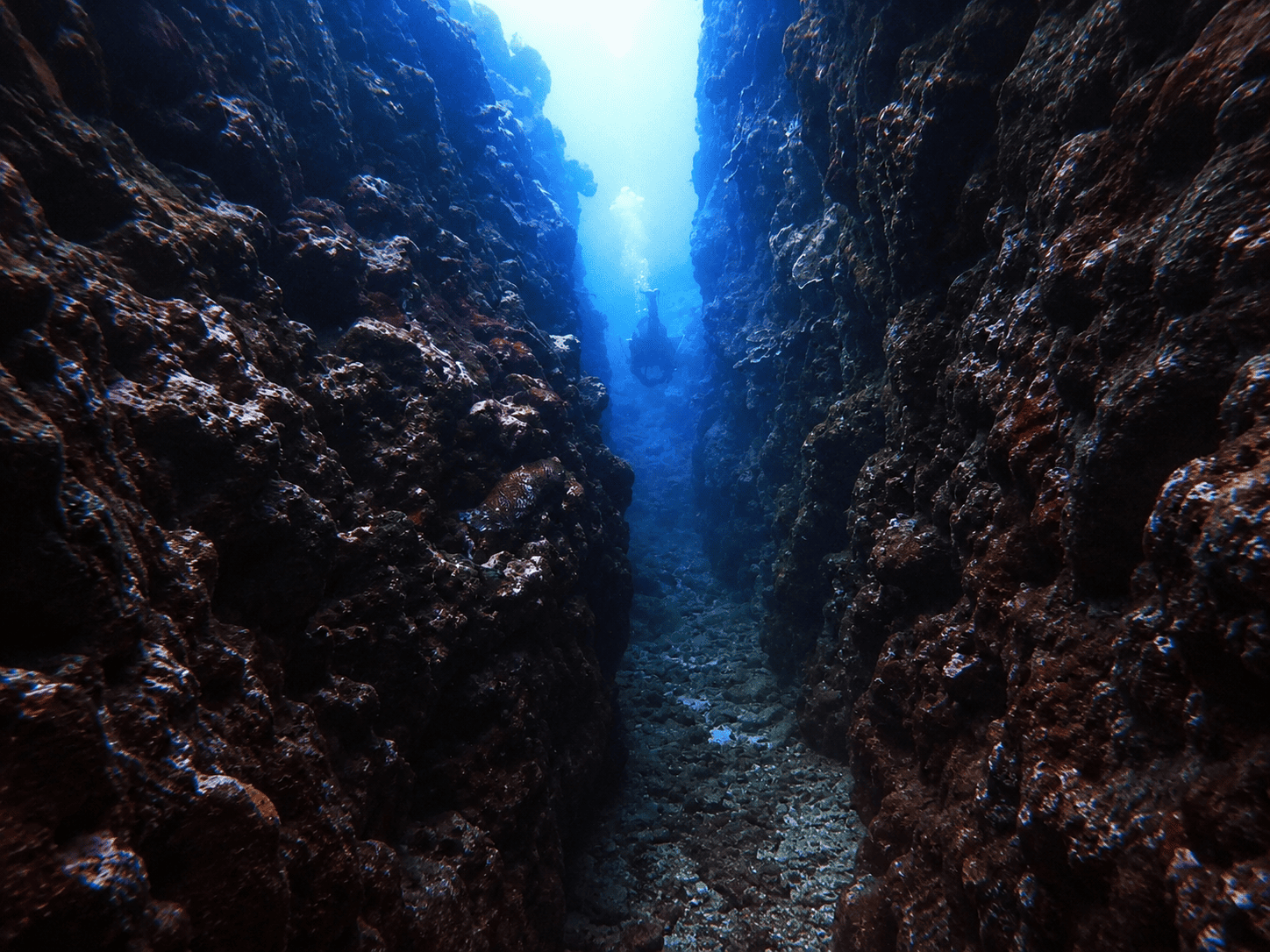 Hilo Boat Dive