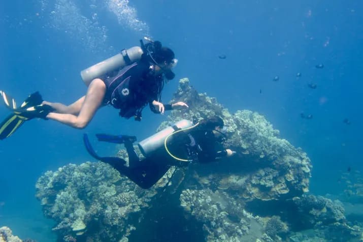Hilo Certified 2 Tank Dive