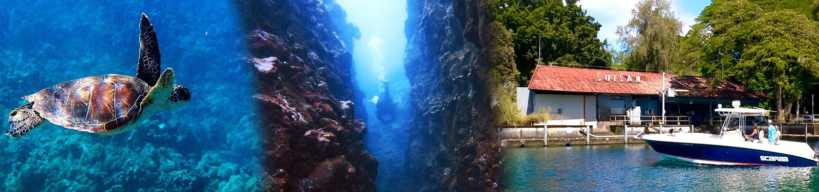 Hilo Ocean Adventures - CERTIFIED 2 Tank Dive, Sea Turtle Cove & Reef