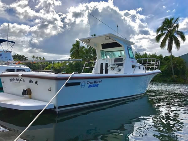 The Boat