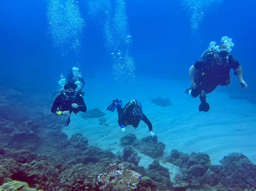 Certified Scuba Shore Dive in Hilo