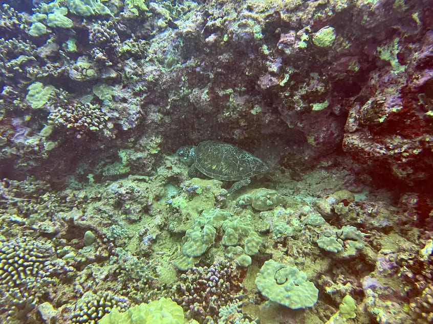 Exploring the Underwater World