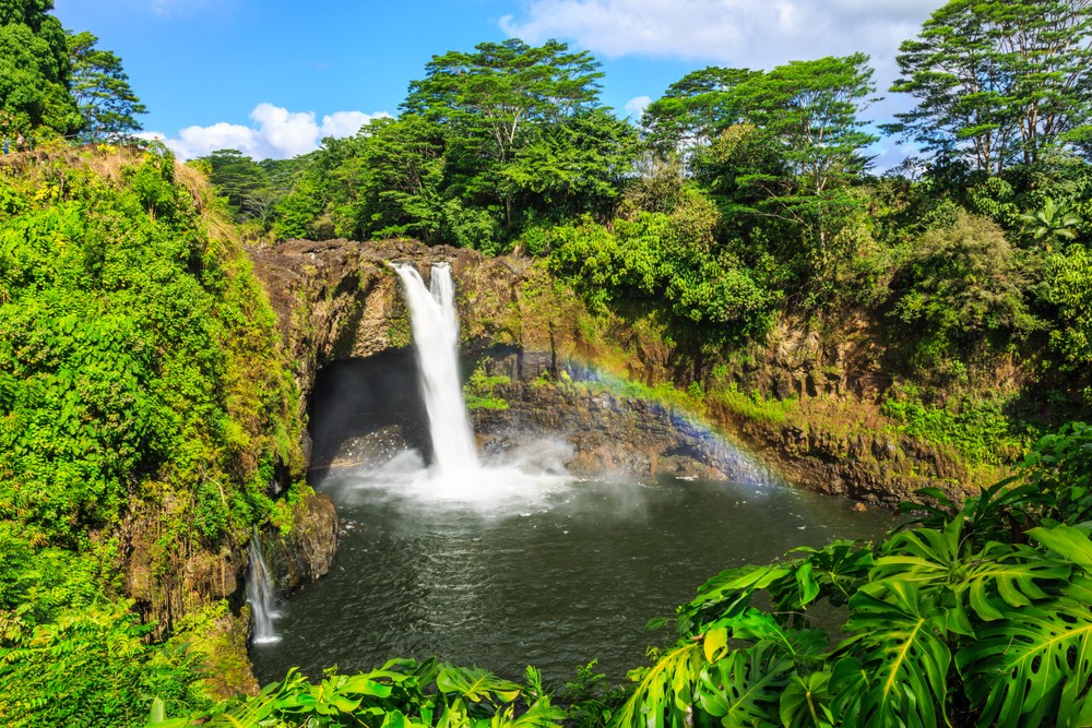 Rainbow Falls in Hilo featuring a powerful cascade surrounded by lush tropical rainforest