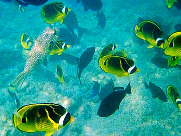 Kailua Bay Charter Company
