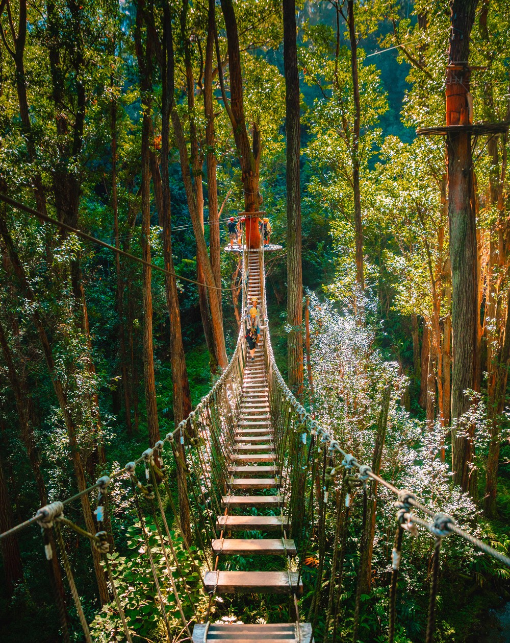 Bridge Walk