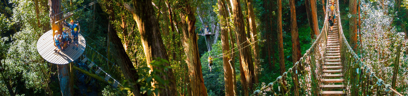 Kohala Zipline