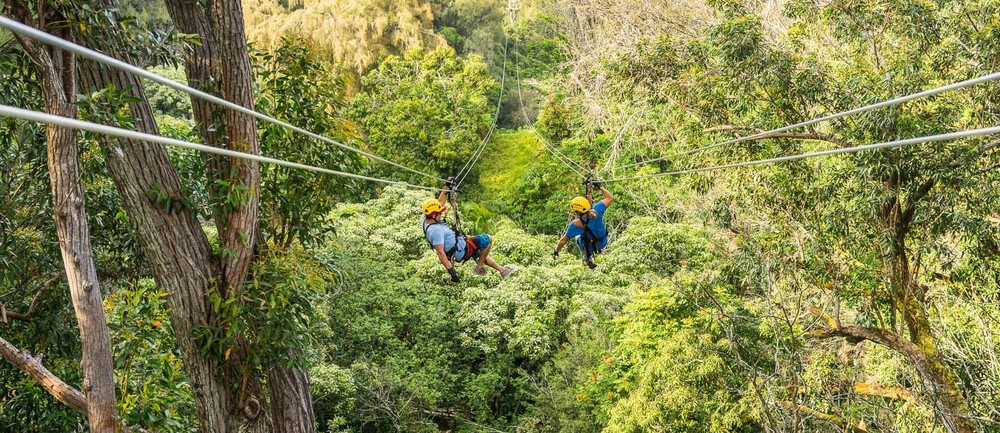 Dual Zipline